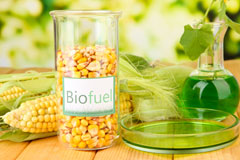 Cobby Syke biofuel availability